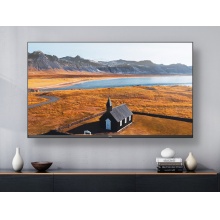 TCL 50D3显示屏